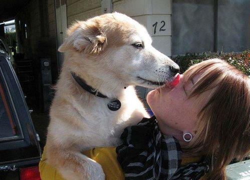 娱乐吃瓜酱舔狗